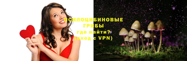 спайс Медвежьегорск