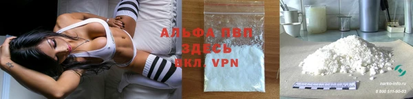 гидра Магас