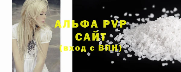 гидра Магас