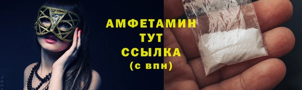 гидра Магас